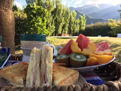a plate of sandwiches and fruit on a table at Zolara Di Merlo in Merlo