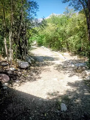 a dirt road with trees on either side at Casita siempre verde in Los Hornillos