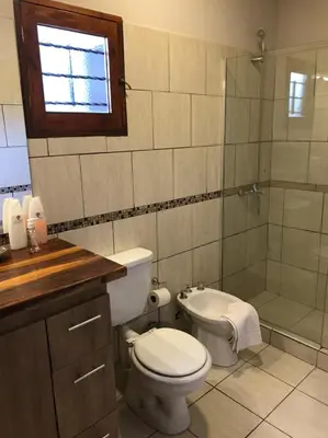 a bathroom with a toilet and a shower at La Osadia Cabañas y Suites Solo Adultos in Mina Clavero