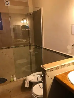 a bathroom with a shower with a toilet and a sink at La Osadia Cabañas y Suites Solo Adultos in Mina Clavero