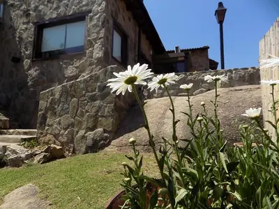 a flower in a vase in front of a building at La Osadia Cabañas y Suites Solo Adultos in Mina Clavero