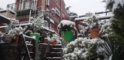 a snow covered yard with potted plants in front of a building at Cerros Azules in Trapiche