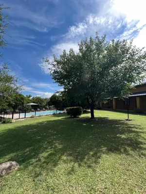 a tree in the middle of a yard with a pool at Posada Altos Del Consuelo in Nono