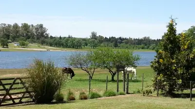 two horses grazing in a field next to a body of water at Cabañas del Dique Frente al Lago in Villa del Dique