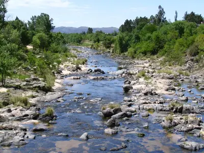 a river with rocks and trees in a field at Posada Casa de Piedra in Los Reartes