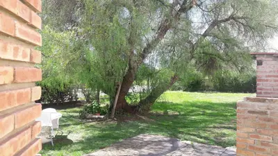a tree sitting in the grass next to a brick building at Chalet Nuevo Amanecer in Merlo