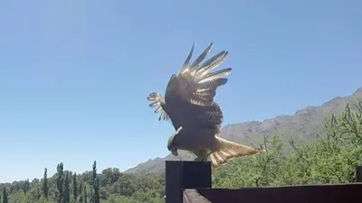 a large eagle perched on top of a building at Cabañas Toay Merlo San Luis in Merlo