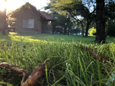 a pile of green grass in front of a house at El Refugio Casas de Campo in Villa General Belgrano
