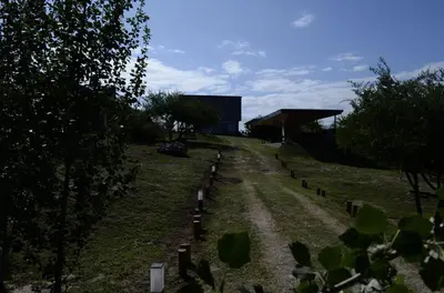 a grave yard with trees and a building in the background at Complejo Joansa in Villa Santa Cruz del Lago