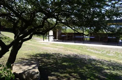 a tree with a rock in a park at Complejo Joansa in Villa Santa Cruz del Lago