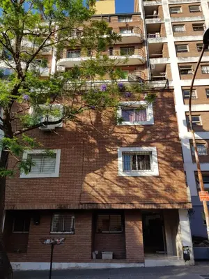 an apartment building with a tree in front of it at Apartamento Carlucci in Cordoba