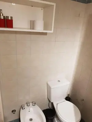 a small bathroom with a toilet and a sink at Apartamento Carlucci in Cordoba
