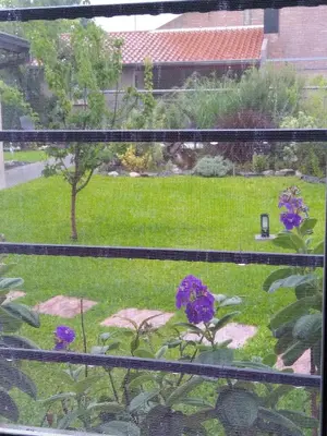 a window view of a garden with purple flowers at Hostería Boutique El Puente Adults Only in Merlo