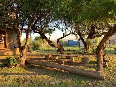 a wooden bench under two trees in a park at CABAÑA EN TANTI in Tanti