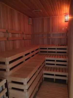 an empty sauna with wooden walls and wooden floors at Aparts Piscu Yaco Almendros in Merlo