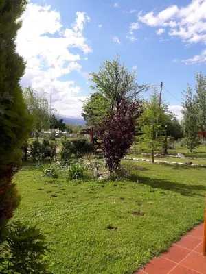 a green yard with a tree in the grass at Cabañas Vientos del Sur in Villa Yacanto