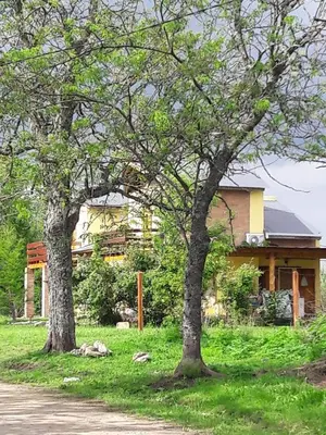 two trees in the grass next to a house at Cabañas Vientos del Sur in Villa Yacanto