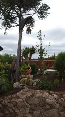 a garden with a light and a tree and a bench at Talita Cumi in Villa Santa Cruz del Lago