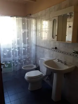 a bathroom with a toilet and a sink at Talita Cumi in Villa Santa Cruz del Lago