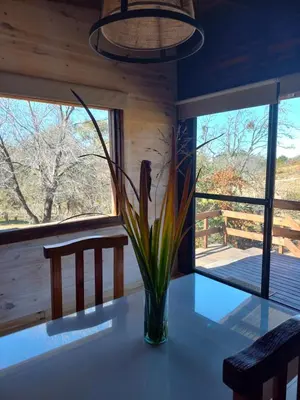 a vase of flowers on a table in a room with windows at Cabaña de Campo - Valle de Calamuchita - Sierras de Córdoba in San Clemente
