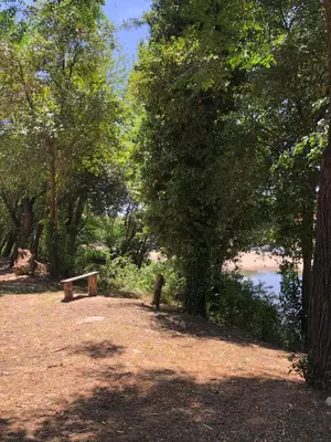 a park with a bench next to a body of water at Departamento LA PAZ in Villa Carlos Paz