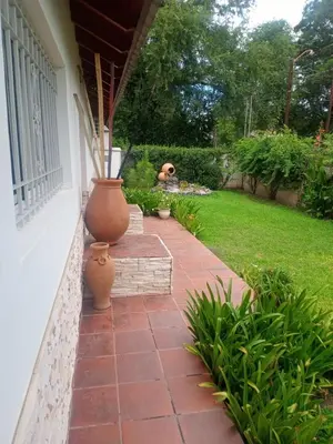 a dog sitting on a porch with a vase at El Maná in Bialet Massé