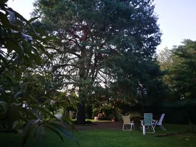 two chairs and a table in a yard with a tree at El Maná in Bialet Massé