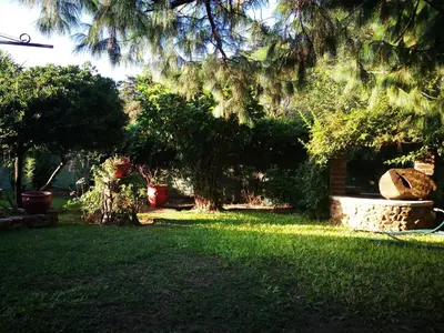 a yard with a tree and green grass at El Maná in Bialet Massé