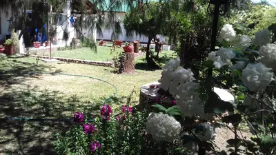 a garden with white flowers and a hose at El Maná in Bialet Massé