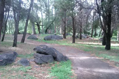 a path in a park with rocks and trees at La casita en la Juni in San Javier