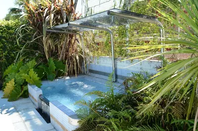 a plunge pool in a garden with plants at Hotel Capvio in Villa Carlos Paz