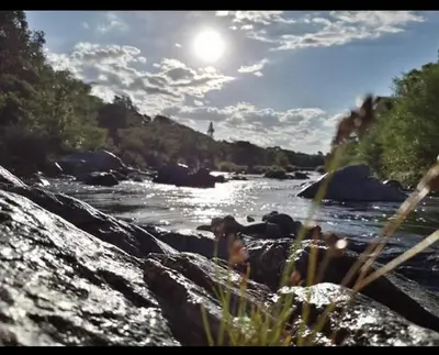 a group of animals standing on rocks by a river at Magma Village in Los Reartes