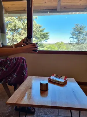 a woman looking out a window at a table with a book at Apartamentos Andrea in Villa General Belgrano