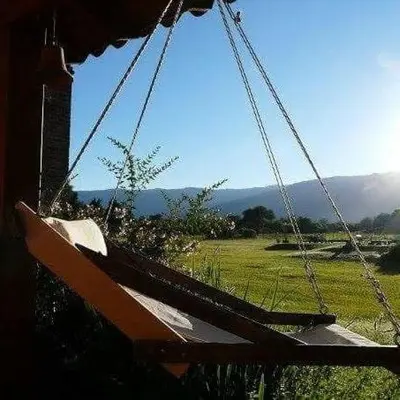 a swing with a view of a field at Rancho La Peregrina in Nono