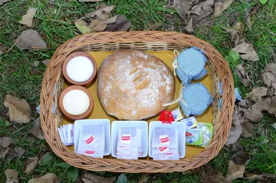 a basket filled with eggs and bread on the grass at Rancho La Peregrina in Nono