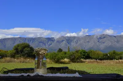 a vase filled with flowers on a table with mountains at Rancho La Peregrina in Nono