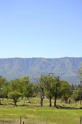 a field with trees and mountains in the background at A Dolce Vita in Nono