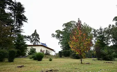 a house in the middle of a yard with a tree at Posada Inguz in Villa Berna