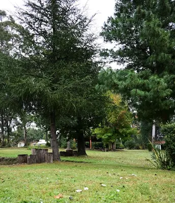a park with two trees and a bench in the grass at Posada Inguz in Villa Berna