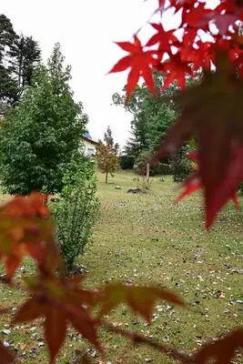 a view of a yard with trees and red leaves at Posada Inguz in Villa Berna