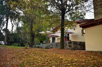 a house with a tree and leaves on the ground at Posada Inguz in Villa Berna