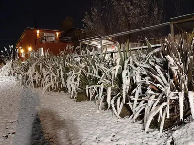a row of plants in the snow at night at Punta Piedra cabañas & suites in Los Reartes