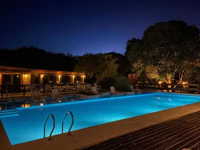 a swimming pool at night with swans on it at Posada Alma del Arroyo & Spa in Villa General Belgrano