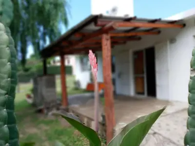 Gallery image of Samaram in Tanti