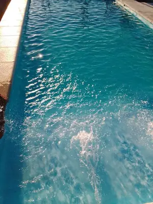 a pool of blue water with a dolphin in it at ALTOS DEL MOLLE en VCP predio con solo 2 cabañas in Villa Carlos Paz