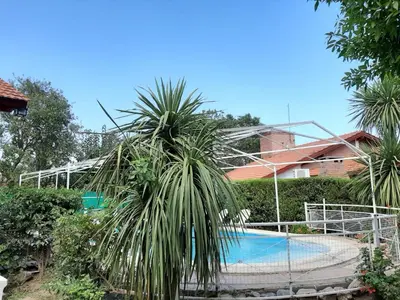 a palm tree in front of a swimming pool at Complejo Sagrado Corazón in Merlo