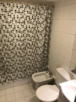 a bathroom with a toilet and a sink and a shower at Jardines del Boulevard in Cordoba