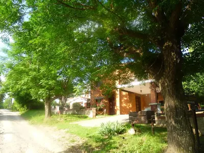 a tree on the side of a dirt road at Cabanas los lirios in Santa Rosa de Calamuchita