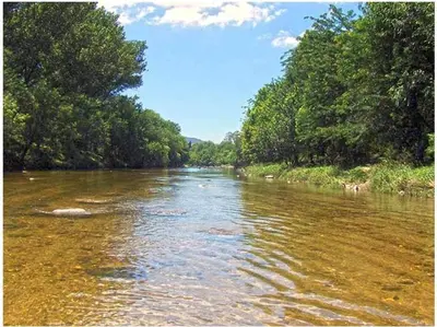 a river with trees on the side of it at Cabanas los lirios in Santa Rosa de Calamuchita