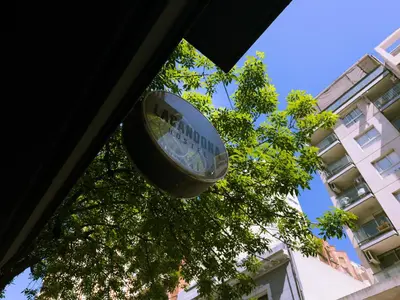 a clock sitting on top of a tree in front of a building at Lacandona Hostel in Cordoba